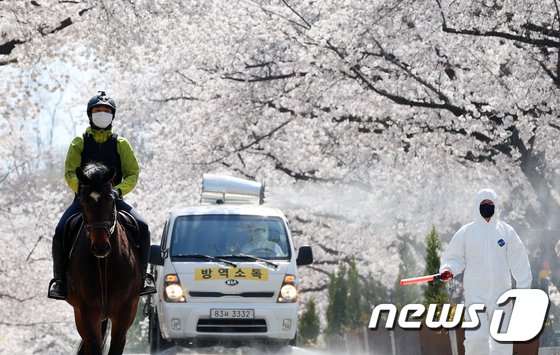 5일 경기 과천 렛츠런파크 서울(경마공원)에서 훈련하는 말 뒤로 한국마사회 관계자들이 방역작업을 하고 있다. © News1